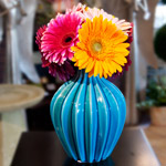 7 Gerbera Daisies in Teal Flower Arrangement