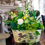 Floral Dish Garden Plant
